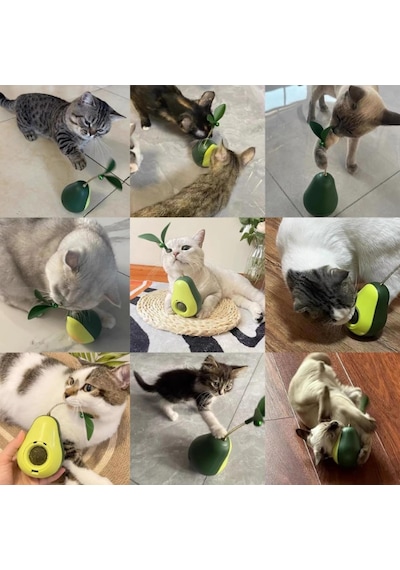 Avokado Şeklinde Kedi Naneli Ve Mama Hazneli Kedi Oyuncağı