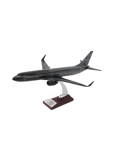 Zekupp Boeing 737-800 1/100 Siyah Çok Çizgili Tasarım Model Uçak