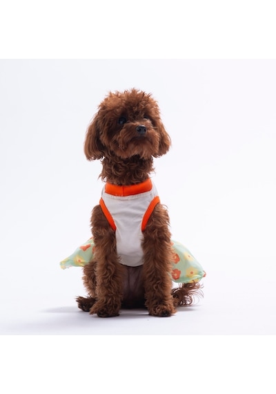 Florelle Çiçek Desenli Kedi Köpek Elbisesi - Kedi Köpek Kıyafeti