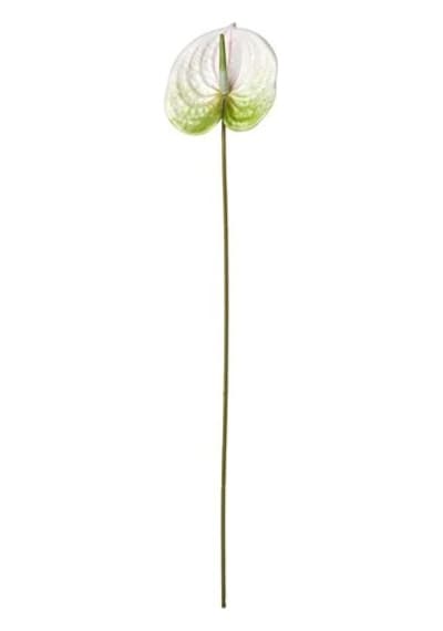 Ikea Smycka Yapay Çiçek, Beyaz, 66 Cm, İç-dış Mekan Anthurium