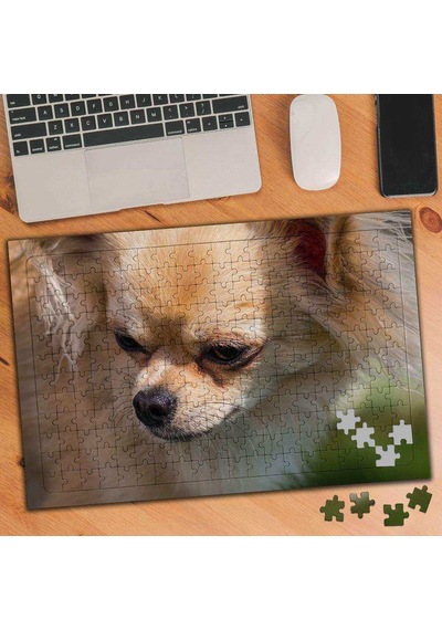 Pomeranian Cins Köpek 240 Parça Puzzle Yapboz-1350993