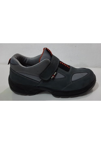 Pars 116 S1