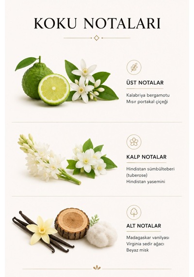 Kadın Parfümü Mila Way Edp 50 Ml Kalıcı Parfüm Aromatik