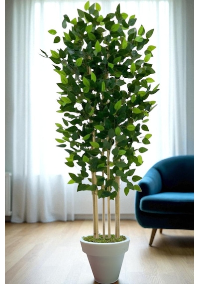 120 Cm Benjamin 5 Çubuklu Beyaz Plastik Saksı Yeşil
