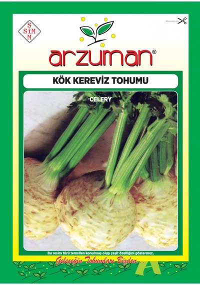 Kök Kereviz Tohum 10 GR