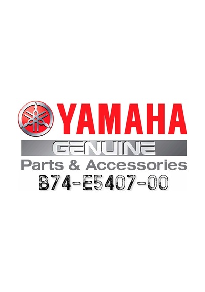 Yamaha Xmax 250 / 300 2018 Varyatör Filtresi