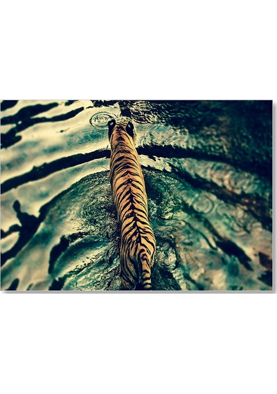 Cakasepetim Suya Giren Kaplan Ahşap Mdf Tablo