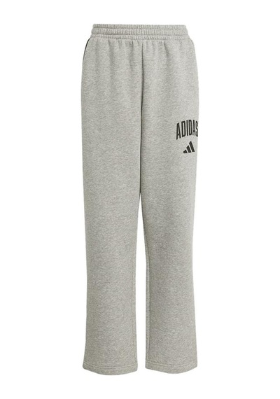Adidas Çocuk Eşofman Altı J Clgt Fl Pnt Jw2386 Gri