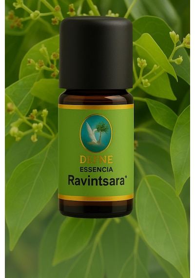 Ravintsara Organik %100 Saf Uçucu Yağ 10ml