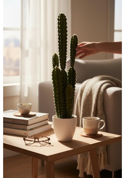Yapay Kaktüs Ağacı Sütun Kaktüsü Cereus Peruvianus - Beyaz Saksıda Yapay Bitki 70 20cm Yeşil