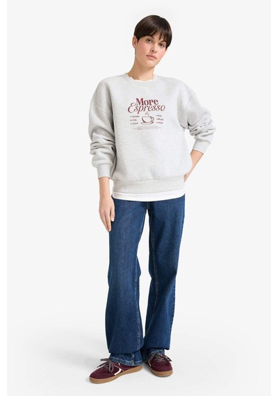 Defacto Relax Fit Bisiklet Yaka Baskılı Kalın Sweatshirt G2152ax25wngr93 Gri