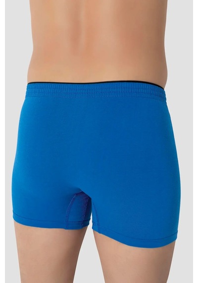 Terrien Premium 6'lı Paket Mavi Erkek Penye Havlu Bel Boxer %100 Pamuk Slim Kalıp Günlük Giyim Örme Kumaş