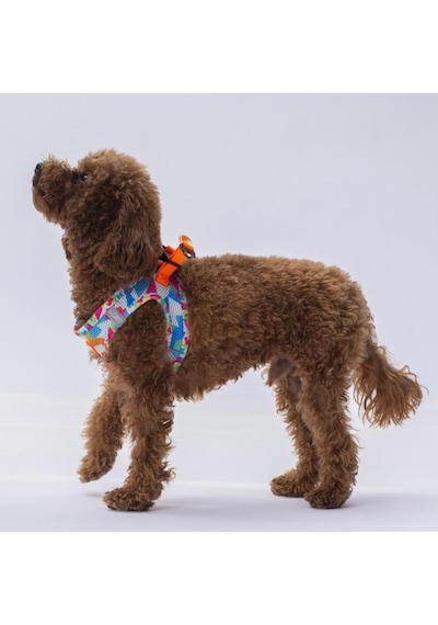 Pawstar Air Mesh Harness Göğüs Tasması A26 Mosaic Large Mavi
