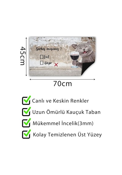 Sarhoş Musun Kapı Önü Paspası Dekoratif Kapı Paspası Dış Mekan Paspas Ev Içi Paspası 45x70cm Çok Renkli
