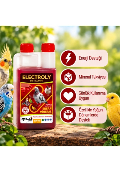 Electroly B16 Solüsyon 500 Ml