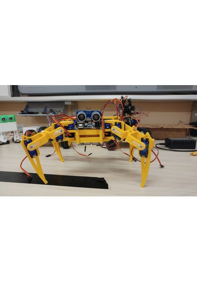 Örümcek Robot 12 Sg90 Siyah