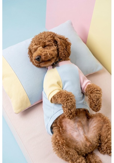 Bubbles Pastel Köpek Uyku Takımı Mini Yastıklı Şeker Renkli Yazlık Köpek Pijama Seti Küçük Irklar İçin