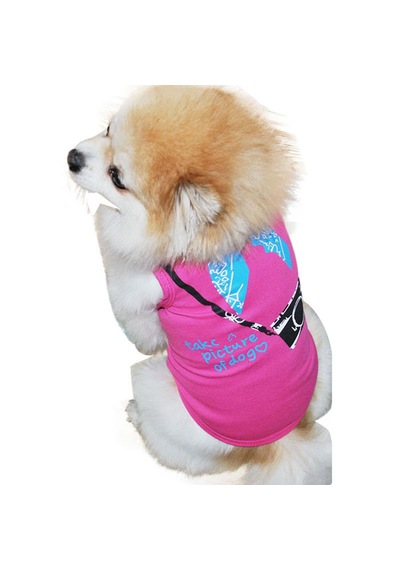 Köpek İçin Kıyafet Sweat Picture Of Dog Kostüm