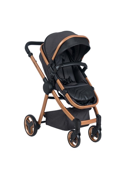 Biddy Pitty Oro Travel Sistem Bebek Arabası