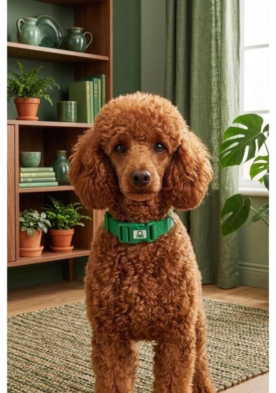 United Colors Of Benetton Bntmkt-0028-gr Kedi &köpek Örme Tasma Yeşil 1,5x26-40 Cm