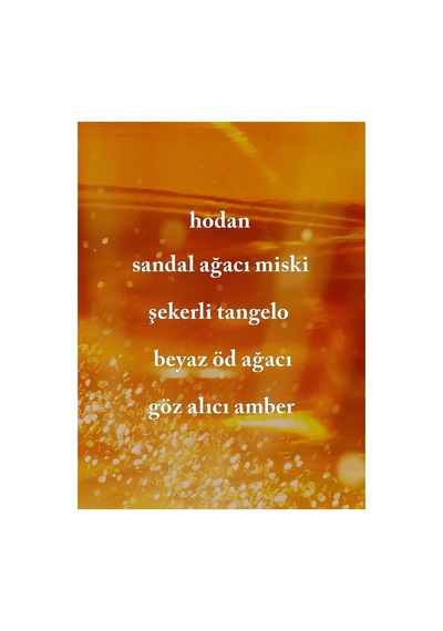 Bath & Body Works In The Stars Duş Jeli 295 Ml Diğer