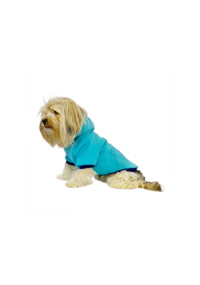 Kemique Team Sweatshirt Köpek Kıyafeti Köpek Elbisesi Kemique Team Sweatshirt Köpek Kıyafeti Köpek Elbisesi