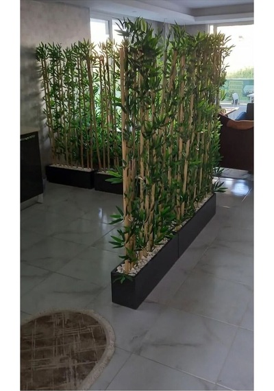 320 Cm Saksıda 170 Cm Bambu Sperator Yeşil