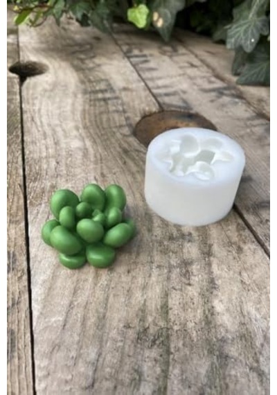 Concept Moonstone Sukulent Mum Kalıbı Silikon