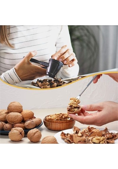 Fındık Ve Ceviz Kırıcı Set Sibylle Design 718365 Çok Renkli
