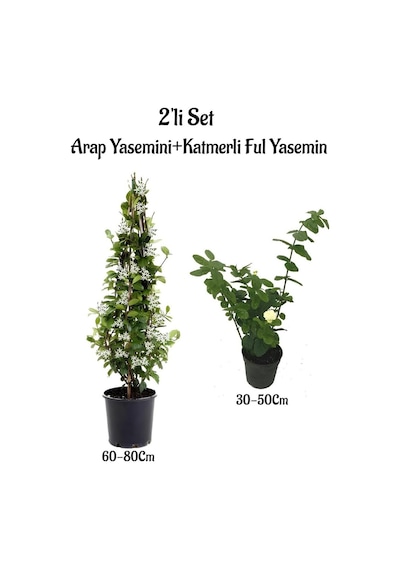 Kokulu Bahçe Seti 1 Adet Arap Yasemini+1 Adet Katmerli Ful Yasemin Çiçeği Fidanı