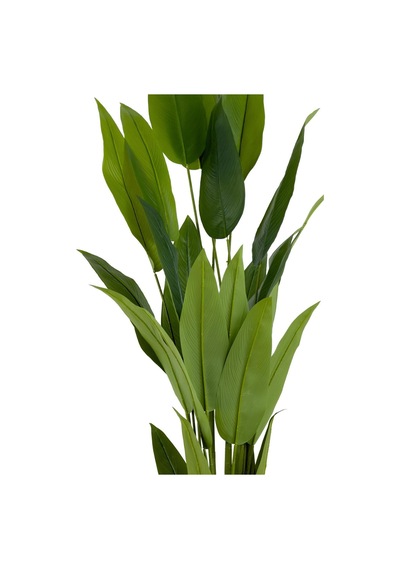 Starliçe 220cm Metal Siyah Gold Saksıda H