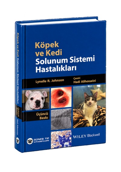 Köpek Ve Kedi Solunum Sistemi Hastalıkları