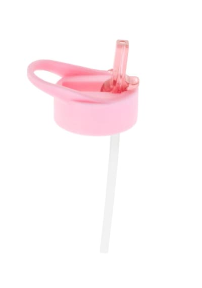 Stephen Joseph Pipetli Paslanmaz Çelik Suluk Pembe Dinozor Sj117559a 124-Pembe