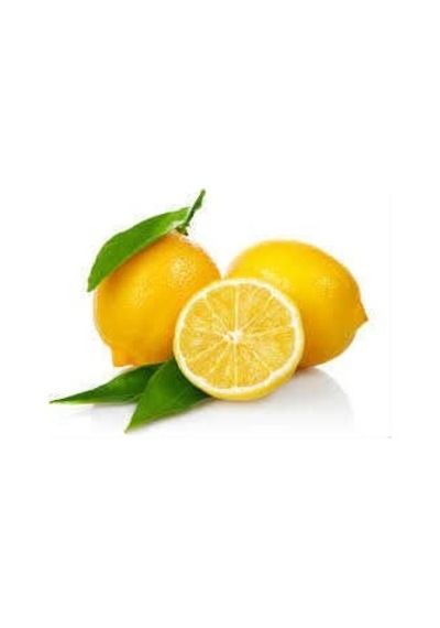 Limon Bonesi / 100 Adet / Bitki Çayı Bonesi Diğer