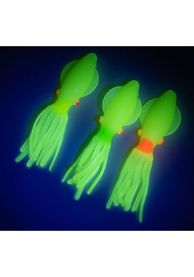 Solid Squid 7cm 6pack