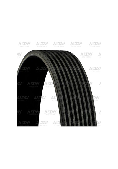 V Kayısı 8pk1435 8pk1435