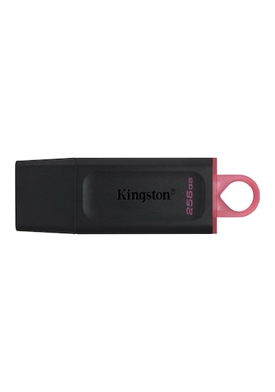 Kingston DTX/256GB DataTraveler Exodia 256 GB USB 3.2 Gen 1 Flash Bellek
