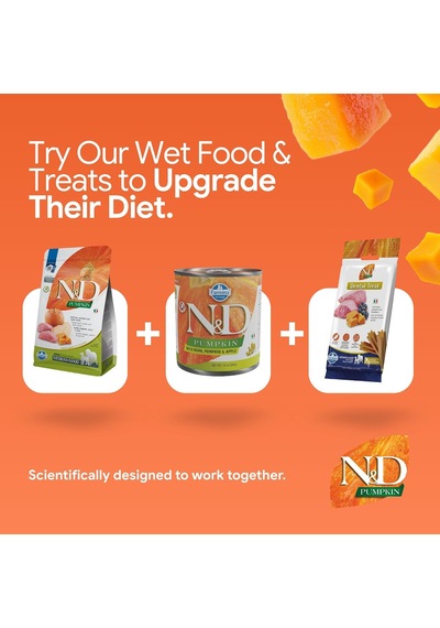 N&d Pumpkin Kuru Köpek Maması, Tahılsız, Yaban Domuzu Ve Elmalı, Yetişkin Medium Ve Maxi, 12 Kg