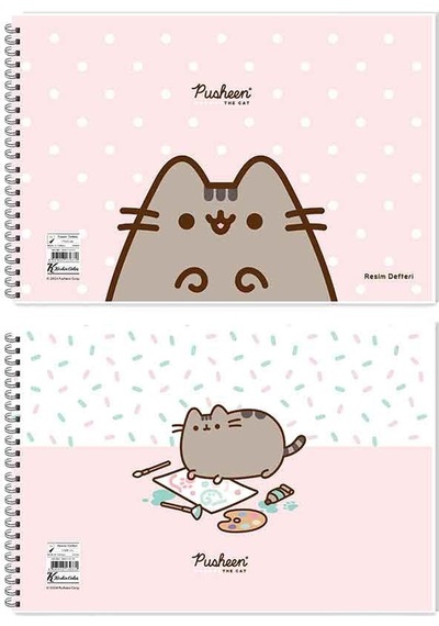 Keskin Resim Defteri 17x25cm Spiralli 15yp. Pusheen 300115-10 Standart