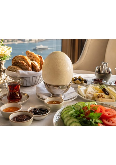 Ham Devekuşu Yumurtası