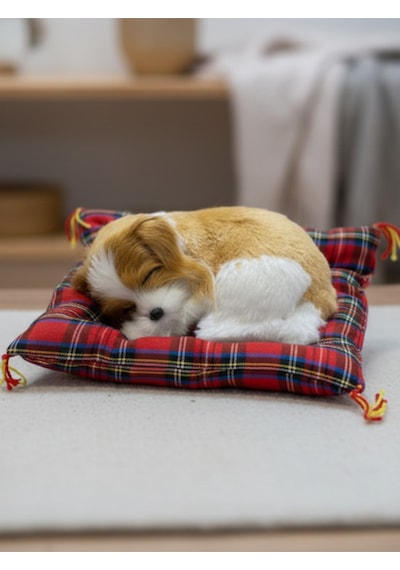 Peluş Yavru Köpek Oyuncak Minder Üstünde Uyuyan Kedi Küçük Boy 10 X 11