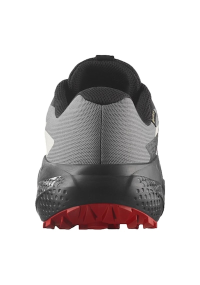Salomon Alphaglıde Gore-tex Erkek Ayakkabısı L47975200 Çok Renkli