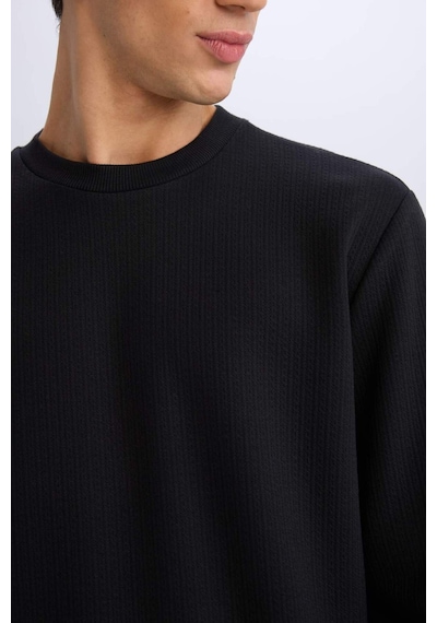 DeFacto Regular Fit Bisiklet Yaka Basic Düz Sweatshirt D7231AX25SPBK81