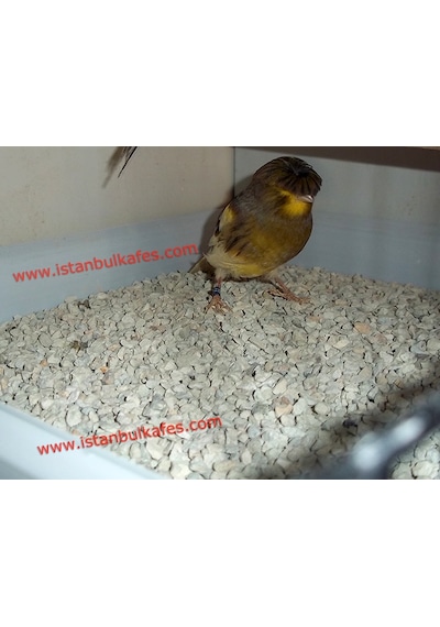 Kuş Kafesi Koku Giderici Taban Malzemesi 23 KG
