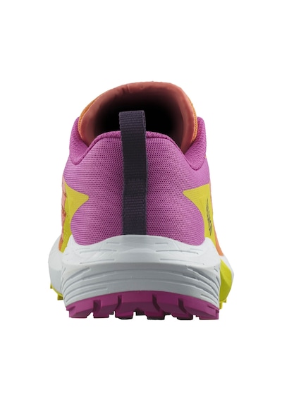 Salomon Sense Rıde 5 W Çok Renkli Yürüyüş Ayakkabı Çok Renkli