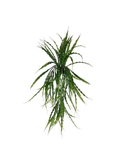 Yapay Çiçek Saksıda Sarkan Yeşil Kıvrımlı Saz 70Cm