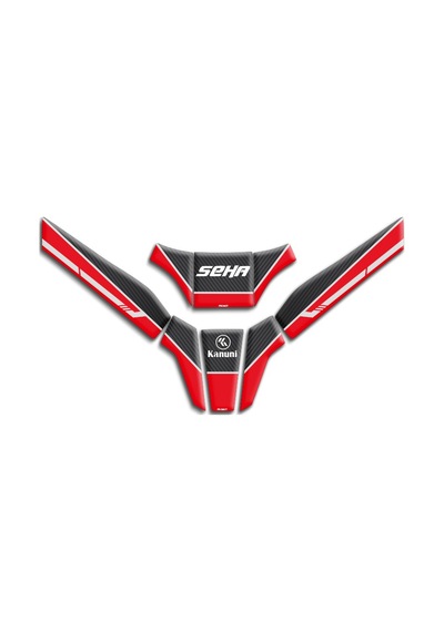 Motosıklet Kaplama Kanuni Seha Uyumlu Model 05