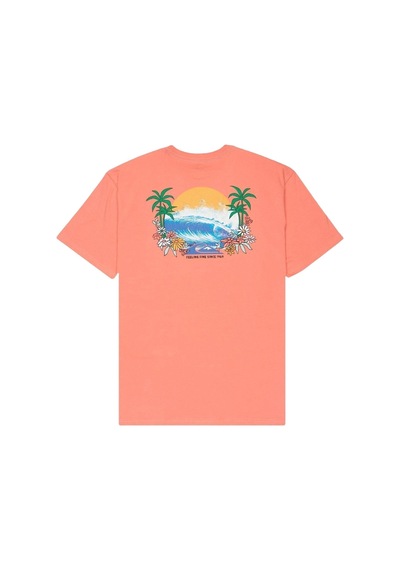 Quiksilver Quıksılver Ev Barrel Parad 2020 Pembe