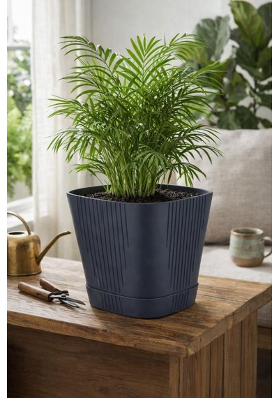 Omnipazar So-zb04 Zambak Dekoratif Plastik Saksı 5.6 Litre No:4