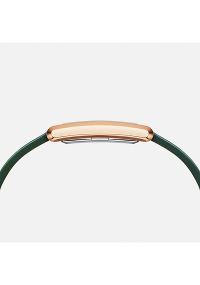Daniel Wellington Dw00600694 Kadın Kol Saati Diğer